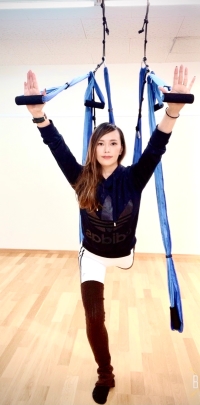 シルクサスペンションスライド画像